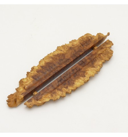 Pen Holder in Red Mallee Burl