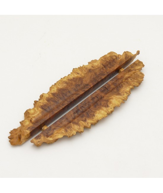 Pen Holder in Red Mallee Burl